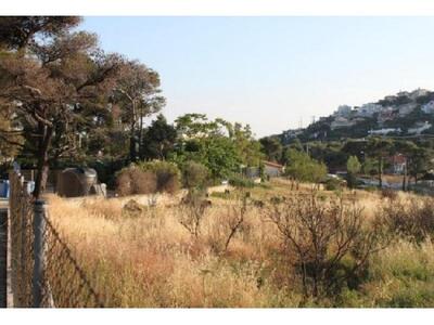 Δήμος Αιγιαλείας: Καλεί τους ιδιοκτήτες ...