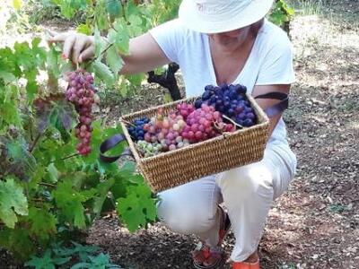 Επί τω έργω