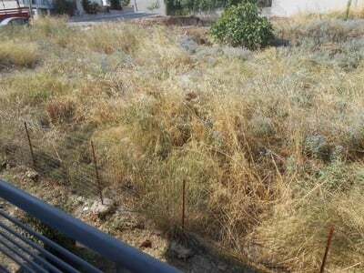 Στις 702.000 οι δηλώσεις καθαρισμών των ...