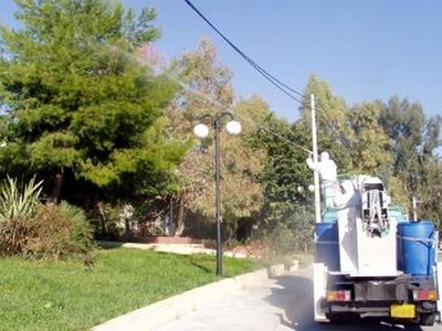Πάτρα: Ψεκασμός δένδρων το Σάββατο σε πλ...