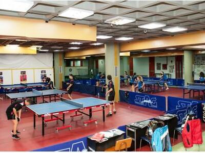 Έναρξη προπονήσεων για τους Φοίνικες Γλυ...