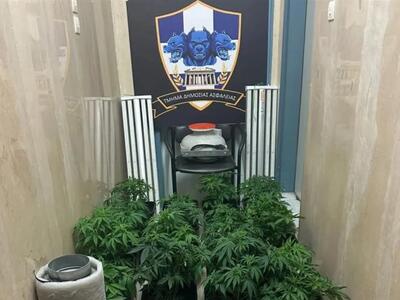 Εξαρθρώθηκε εγκληματική οργάνωση που εξα...