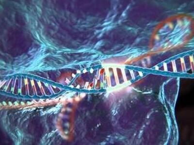 Science: Αυτές είναι οι δέκα σημαντικότε...