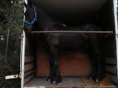 φωτο eurokinissi