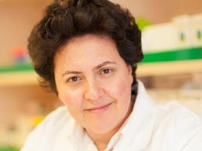 Σε συζήτηση στο Ευρωπαϊκό Κοινοβούλιο η ...