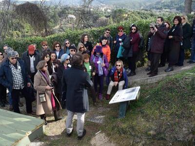 Οι τάφοι χρονολογούνται στην περίοδο 1500-1050 π.Χ