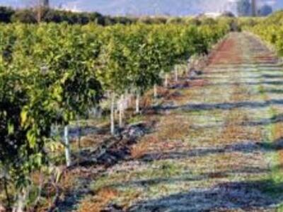 Πρόγραμμα Αναδιάρθρωσης και Μετατροπής Α...