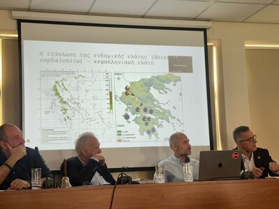 Καλάβρυτα: Η ημερίδα για τις ξηράνσεις τ...