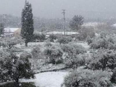 Μην τον τσιγκλάτε...