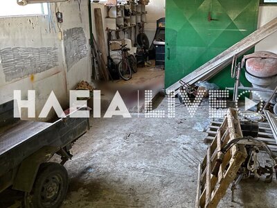 Ανδραβίδα: Εικόνες από την αποθήκη της φ...