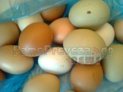 Και στην Πρέβεζα οι κότες γεννούν… πράσινα αυγά