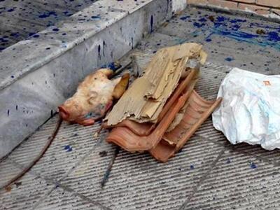 Αφησαν κεφάλι γουρουνιού στην είσοδο του...