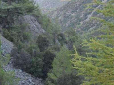 Δυτική Ελλάδα: 65χρονος εντοπίστηκε νεκρ...