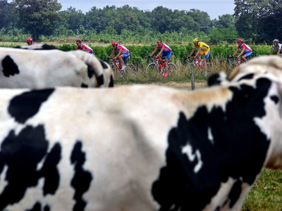15 σοβαροί λόγοι για να κάνουμε ποδήλατο