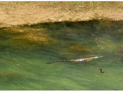 Ο Σήφης περιτριγυρίζει κινείται κοντά σε...