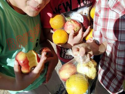 Δωρεάν διανομή φρούτων και λαχανικών στα σχολεία