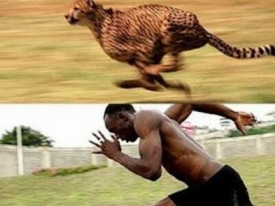 Να γιατί ο Μπολτ τρέχει τόσο γρήγορα….Απ...