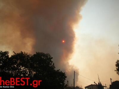 Tι έχουν κάψει οι πυρκαγιές στην Αχαΐα  ...