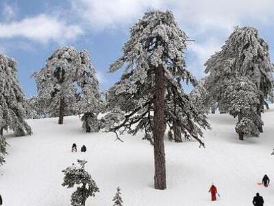 Κύμα ψύχους πλήττει την Κύπρο