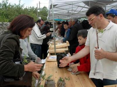 Τέταρτη γιορτή παραδοσιακών σπόρων στην Ορεστιάδα