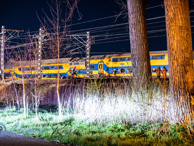 Ολλανδία: Εκτροχιασμός τρένου με τουλάχι...