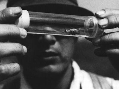 Η σπάνια ταινία «Γυναίκα στους Αμμόλοφου...