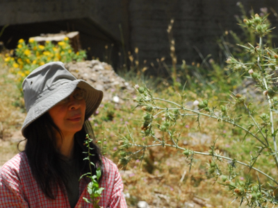 H Γιαπωνέζα που ανακάλυψε έναν μυστικό θ...