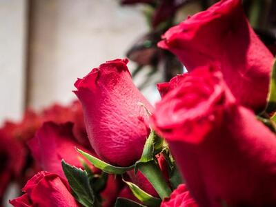 Αθήνα-Θεσσαλονίκη το πιο... ερωτικό δρομ...