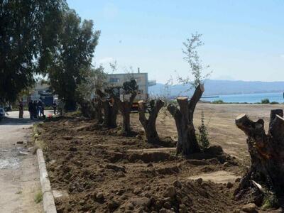 Νέα όψη! 1.500 νέα δέντρα στο Νότιο Πάρκ...