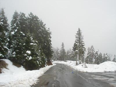 Αχαΐα: Έκλεισαν δρόμοι από την ισχυρή χιονόπτωση!