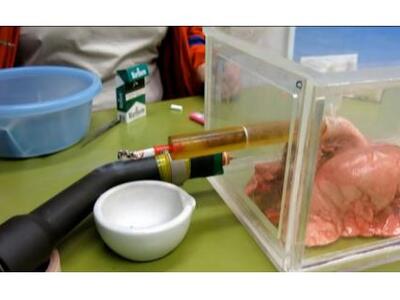 Εάν καπνίζεις πρέπει να δεις αυτό το πεί...