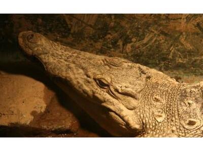 Οι Σέρρες απαντούν στο Ρέθυμνο με τον δι...