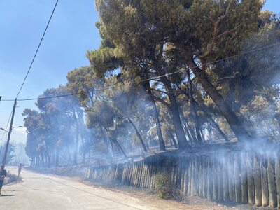 Ο Σπύρος Σκιαδαρέσης για την φωτιά στην Πάτρα