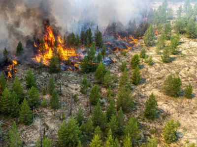 Μεγάλες δασικές πυρκαγιές στη Ρωσία - Οσ...
