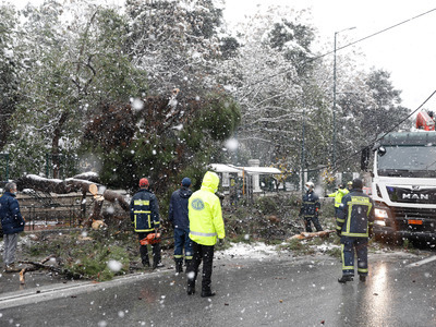Έκλεισε η Βασιλίσσης Σοφίας- Έπεσε δέντρ...