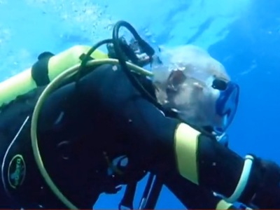 Γιόρτασε τα 96α γενέθλιά του κάνοντας scuba diving
