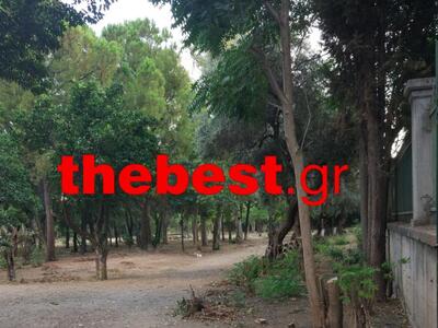 Κάτι άλλαξε στον υπέροχο κήπο του Σκαγιο...