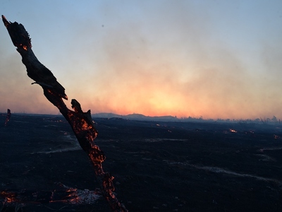 Φωτιές: Mάχη σε Κύθηρα Μεσσηνία, καλή ει...