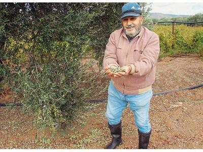 Οδοιπορικό του Al Jazeera στη Ζαχάρω! (Bίντεο)