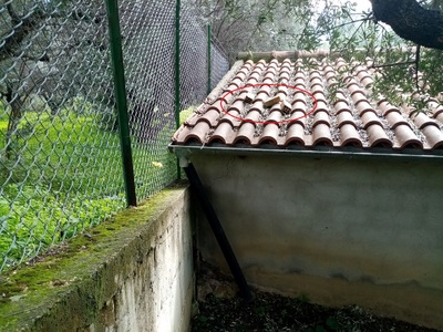 Ρωμανός Πατρών: Ιδιοκτησίες έγιναν στόχο...