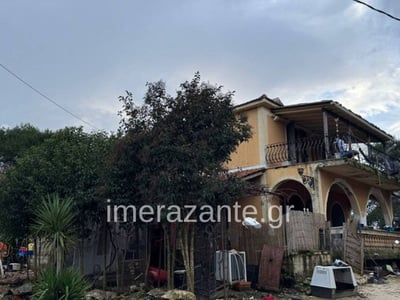 Ζάκυνθος: «Μου έφαγε το παιδί μου» είπε ...