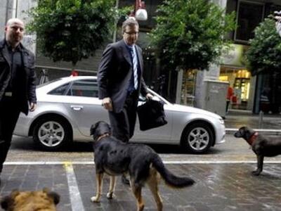 Απελευθερώθηκε το σκυλί που γάβγισε την ...