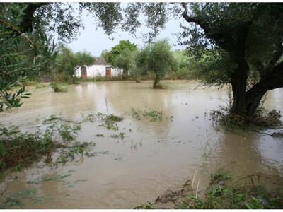 Ηλεία: Άμεσα μέτρα των πληγέντων ζητά το ΚΚΕ