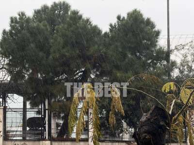 Κακοκαιρία: "Άνοιξαν" οι ουραν...