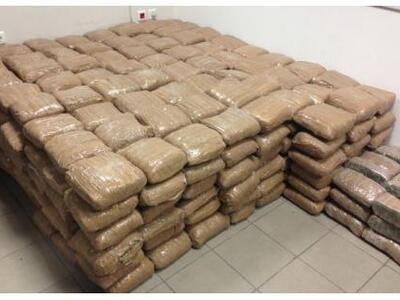 Πάτρα: Ο σκύλος δεν μύριζε πορτοκάλια αλ...