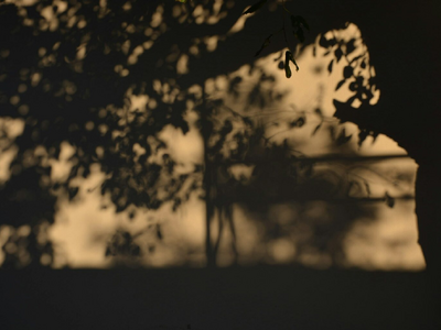 Οινόη Ηλείας: 33χρονος βρέθηκε νεκρός στ...