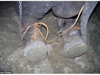 Παγκόσμια συγκίνηση για τα δάκρυα του ελ...