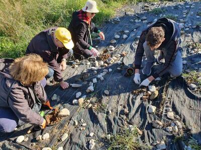 Φύτεψε μια Κενταύρια: Με επιτυχία η 1η ε...