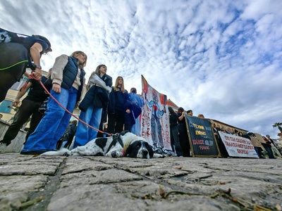 ΑΠΕ-ΜΠΕ/ΜΠΟΥΓΙΩΤΗΣ ΕΥΑΓΓΕΛΟΣ