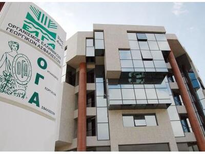 ΟΓΑ: Πότε καταβάλλεται το επίδομα συζύγο...